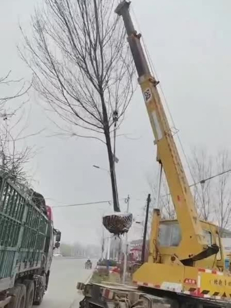 裝車現(xiàn)場（視頻）